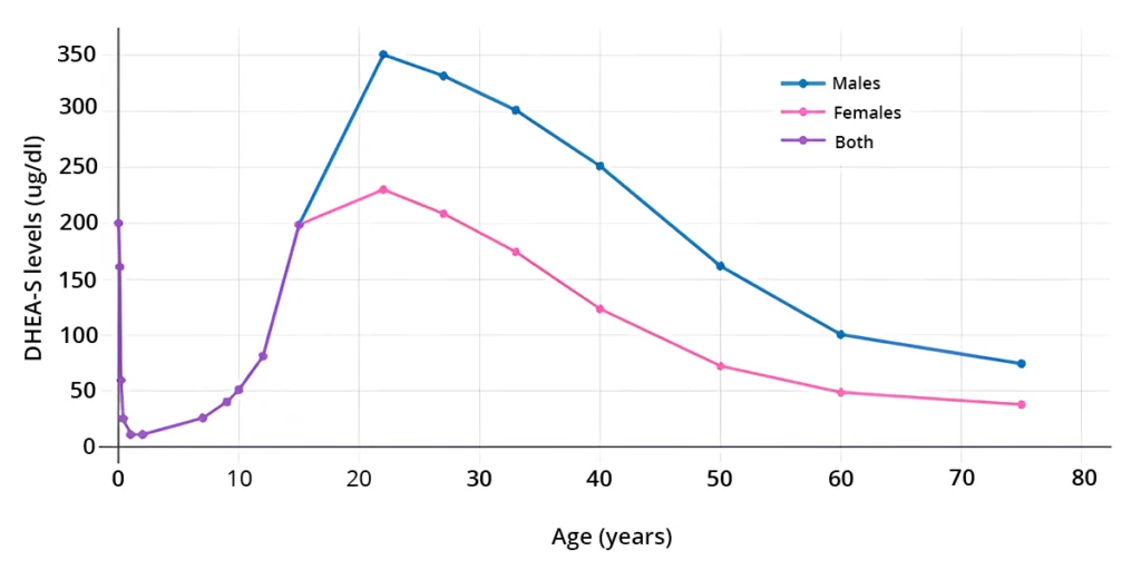 Graph showing DHEA levels declining with age